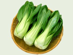 富含硒的蔬菜有哪些 图