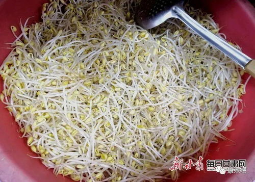 康乐人你买过吗 甘肃这16批次食品抽检不合格