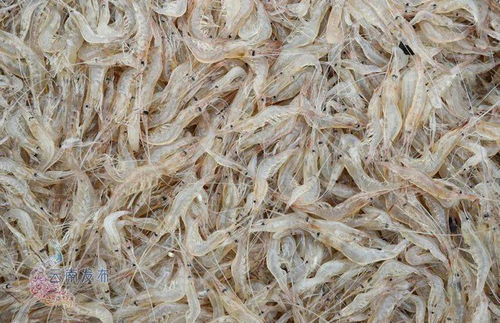 云南全面试行食用农产品合格证制度 涉及蔬菜 水果 畜禽等产品