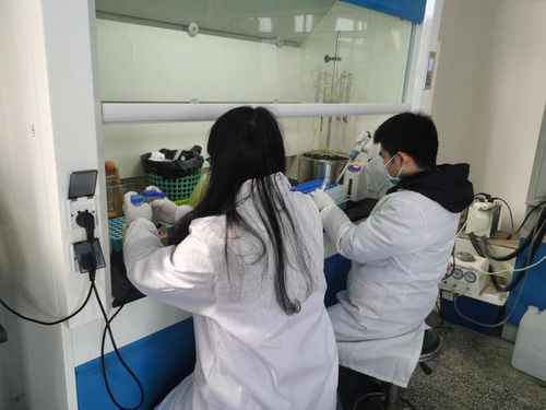 富顺县全力助推食用农产品质量安全提升