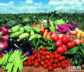 东莞工厂蔬菜配送 饭堂承包 农产品粮油 送菜公司