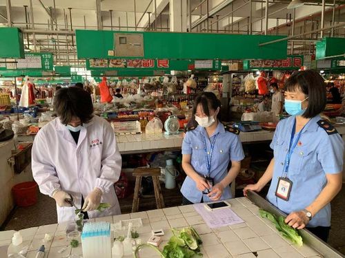华侨城市场监管所开展食用农产品 你点我检 快检开放日活动