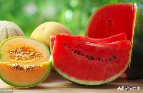 西瓜 甜瓜质量安全水平如何 能安全食用吗