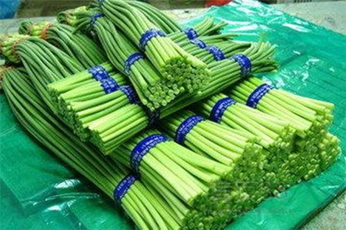 农产品配送现状 琼中农产品配送 佛山万家欢公司 多图