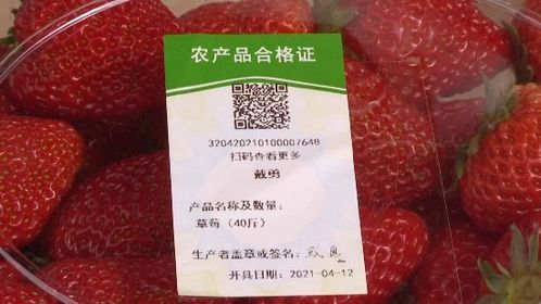 乡村振兴 江苏常州 以 品质 出 品牌 信息化助力打响农产品品牌 常 字号