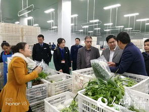 保障食品安全 从配送公司入手