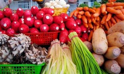 近期哪些蔬菜农残高 8月深圳食用农产品质量安全监测结果出炉(4)