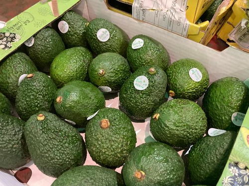 首批非洲输华鲜食牛油果上海入境