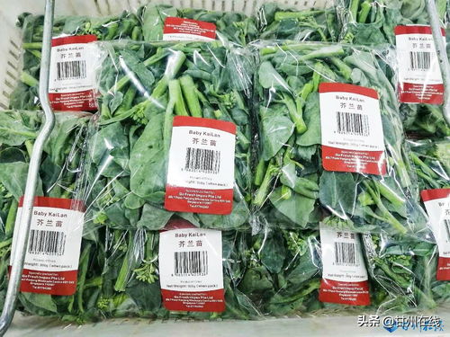 甘州 全力打造 甘州绿鲜 食用产品区域品牌