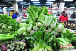 1月份菜价比上月涨16.6 预计节后或回落