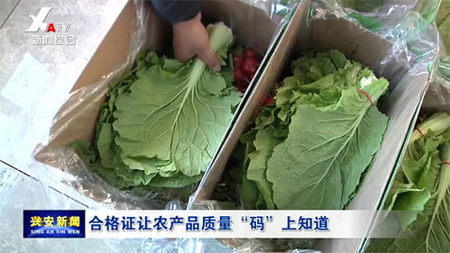 合格证让农产品质量 码 上知道