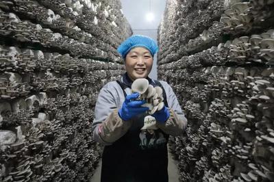 走在前 开新局!闯出绿色循环"大村模式"