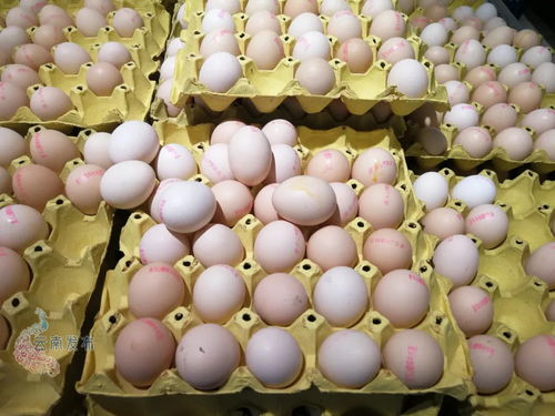 云南全面试行食用农产品合格证制度 涉及蔬菜 水果 畜禽等产品