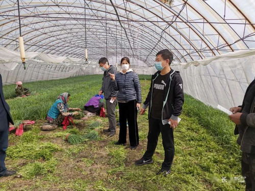 长春新区全面启动食用农产品合格证试行工作