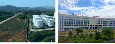 义安区国家农村产业融合发展示范园:打造现代农业样板区