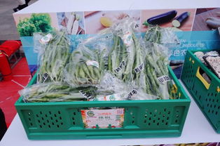 30多种绿色农产品来到普陀,可别错过哦