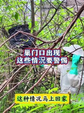 优质农产品 食用菌产业 加油干就完了