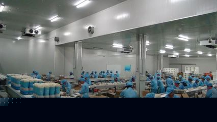 一场一品丨五四农场的九道菇 从田间到餐桌的绿色产业链