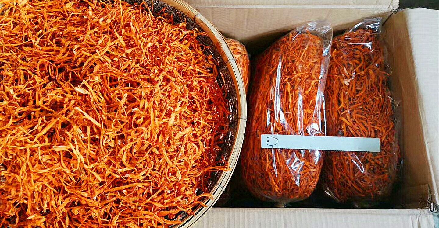 特产虫草花干货 北虫草与蛹虫草的食用价值与代发优势