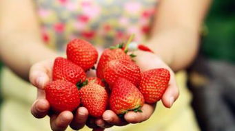 浙江全面启用食用农产品合格证，浙产农产品放心吃